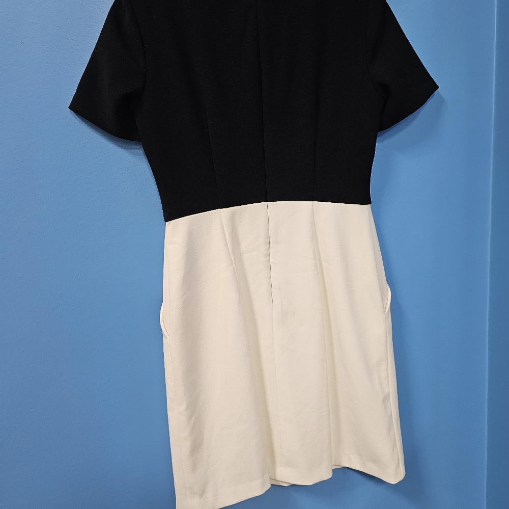 Maggy London Petites Short Dress Black and White - Picture 11 of 11